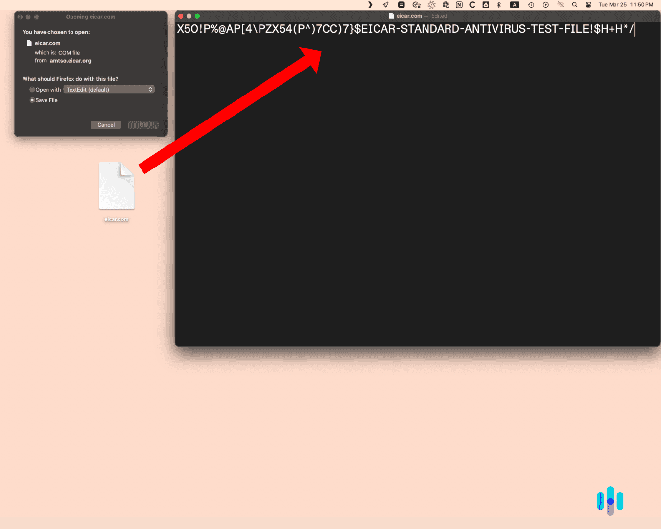 Norton let us download and open test malware it shouldn’t have let onto our desktop.
