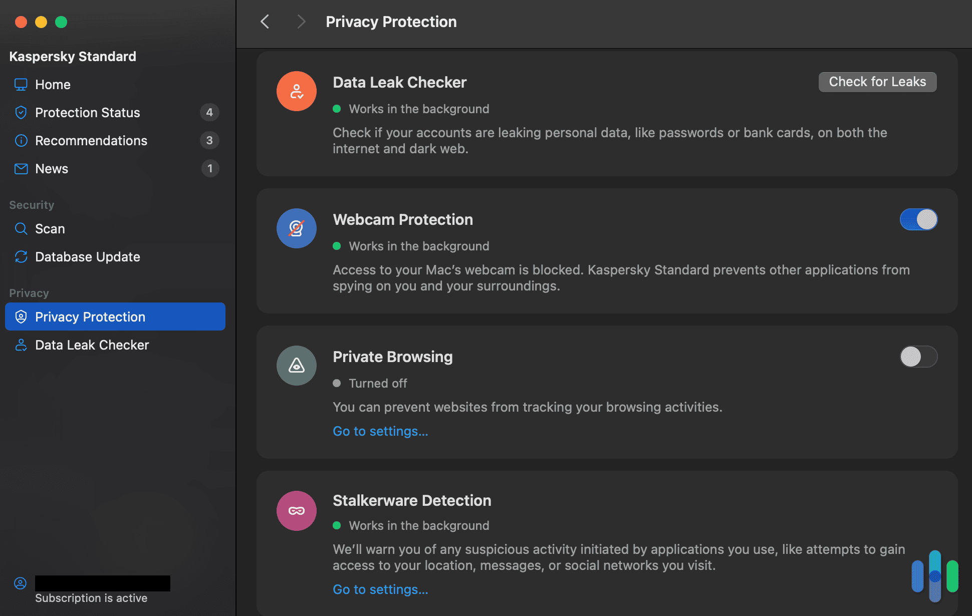 Kaspersky privacy protection options