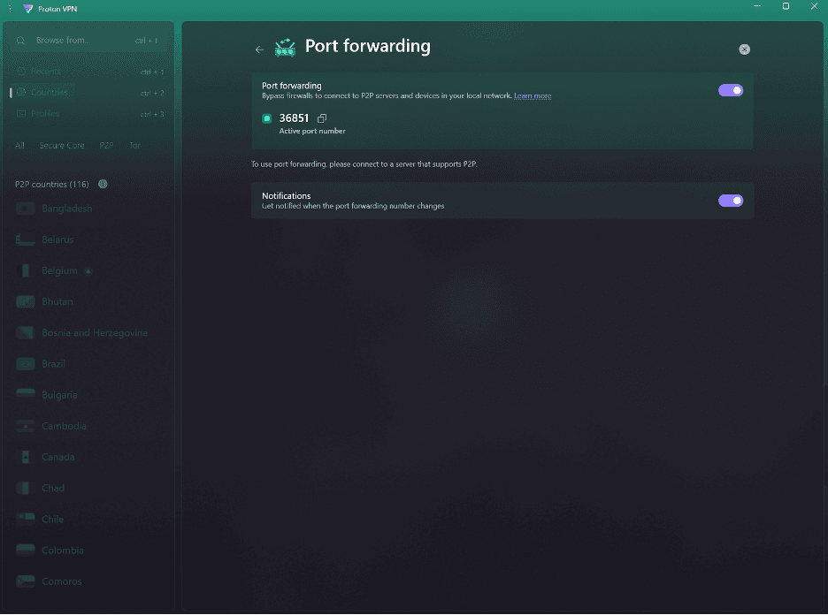 Proton VPN port forwarding